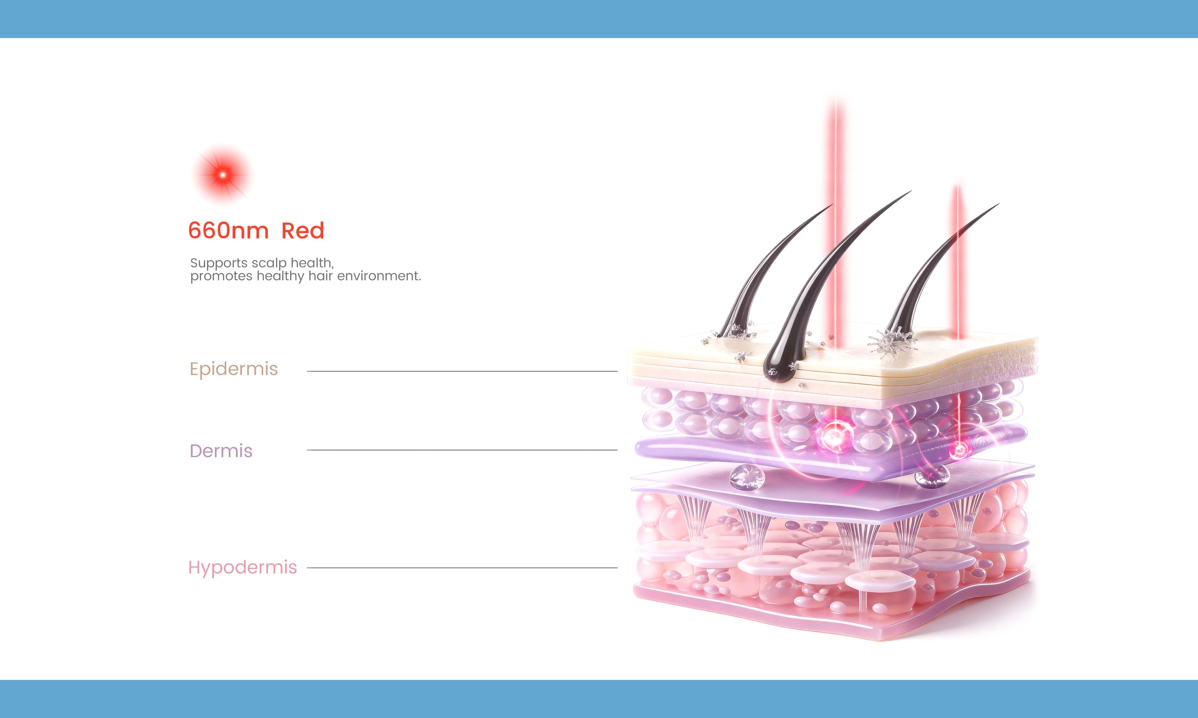180 medical-grade LED bulbs inside the Halo cap