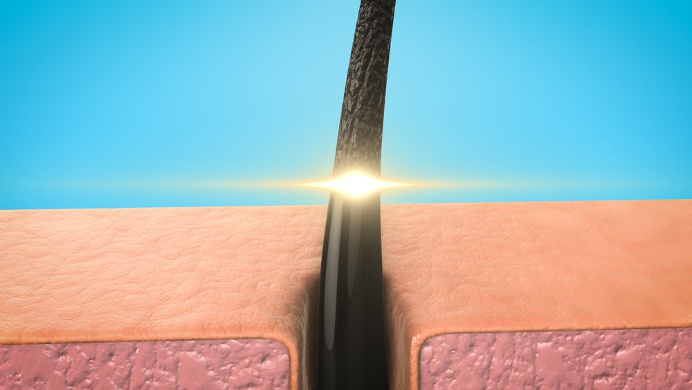 Diagram of hair follicle structure and growth cycle showing how LED light therapy stimulates hair follicles and supports healthy hair growth.